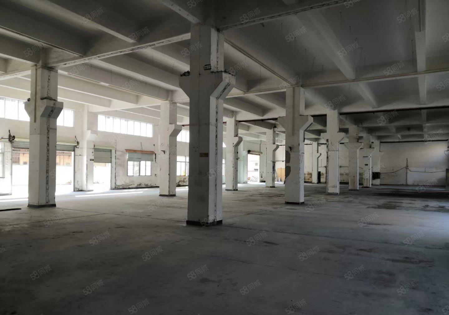 公明一楼厂房出租，450平一3000平（原房东直租）