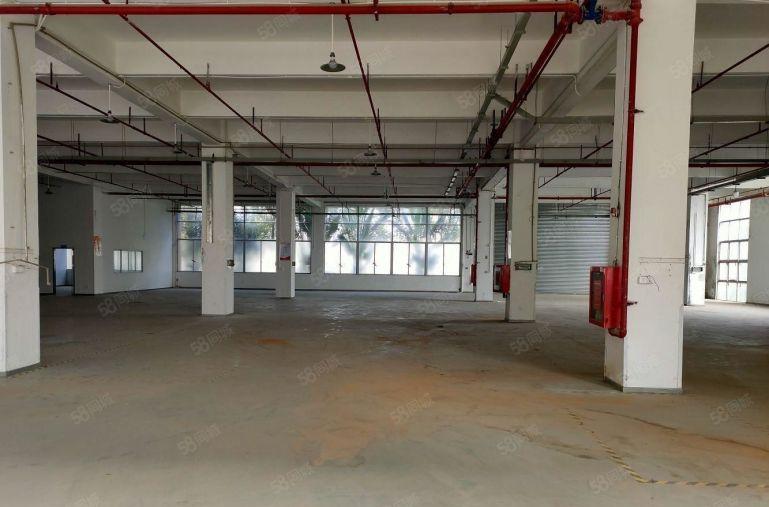 光明宝新科技园附近2000平 可分租重工业厂房 仓库低价出租