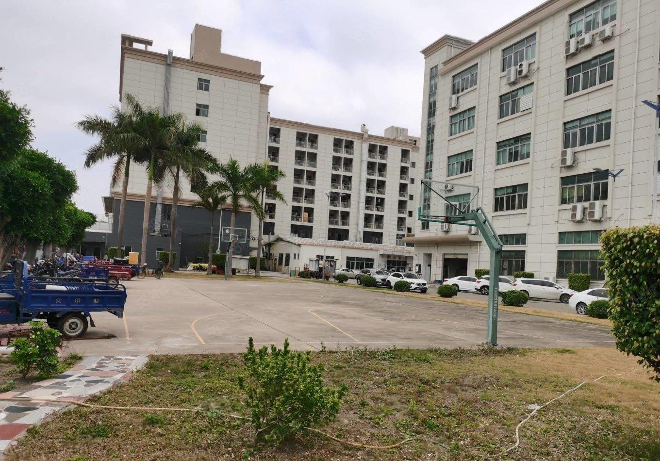 500平起租光明原房东红本独院仓库厂房出租可分租方便招工