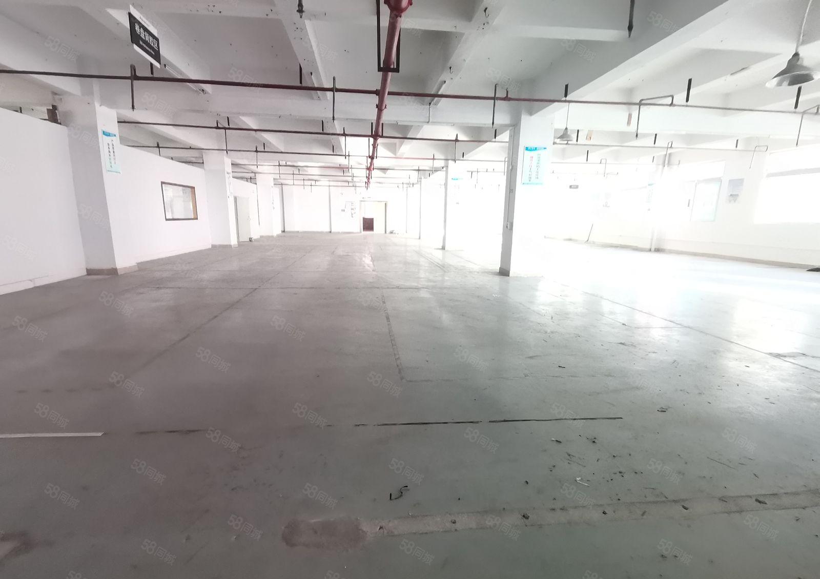 光明工业园区精装修2000平厂房出租200平分租电商