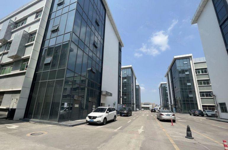 开发商招租 新围原房东楼上500平精装修办公室仓库厂房出租