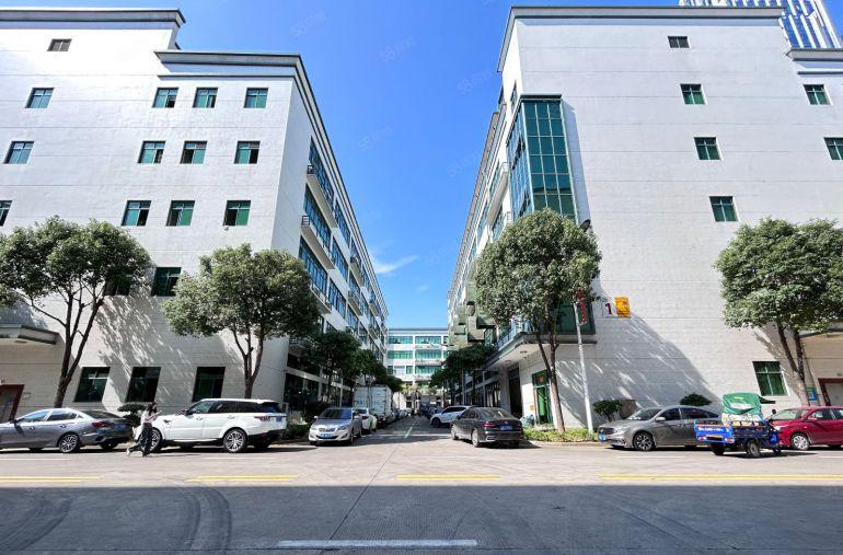 光明300平方至5000平方厂房出租 原房东1楼仓库出租