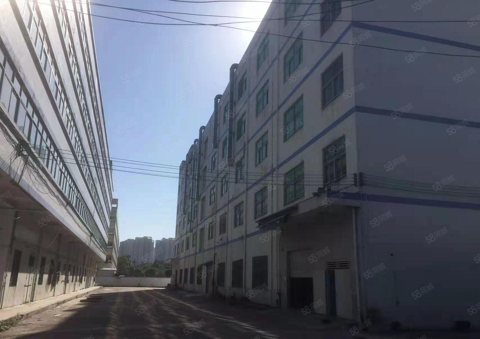 公明楼村500~10000平厂房，仓库出租，食宿配套齐全