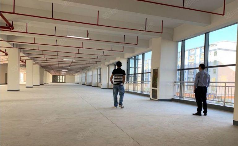 13元租全新红本厂房，仓库1000~4300平可做纸箱，电池