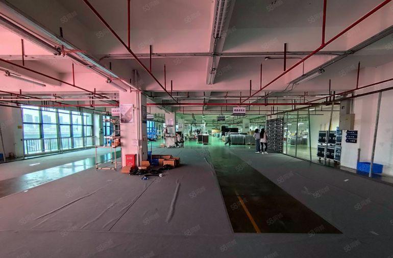 （急租）光明楼村国资委厂房1500平精装修实际面积带红本