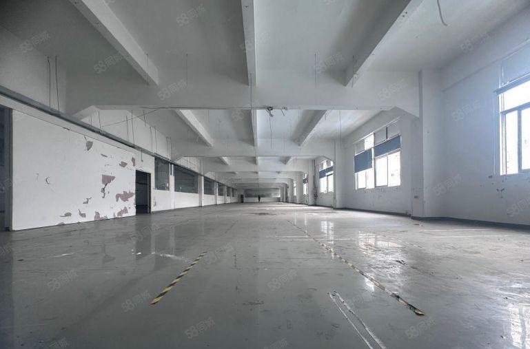 公明原房东独栋15000平厂房出租精装修  带有红本