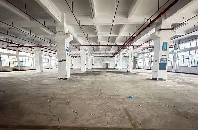 光明村委一楼1000平，价格22元，可分租