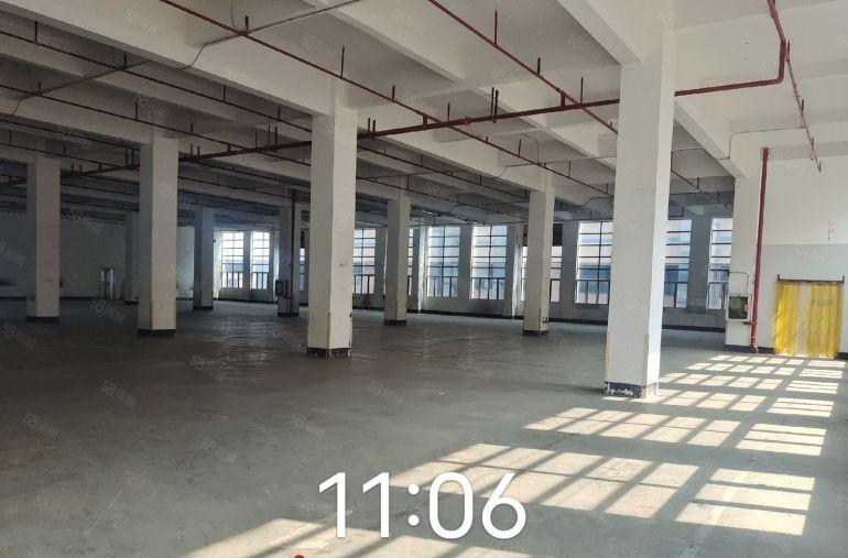 光明南光塘明出口红本厂房出租，可分租