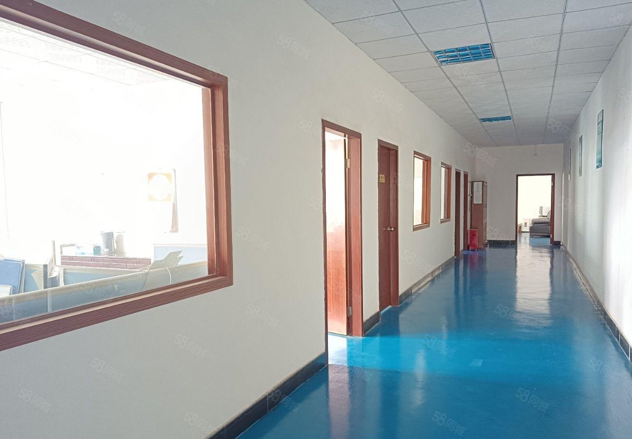 楼村地铁口整层2400平方带办公室装修，前台，重工业厂房