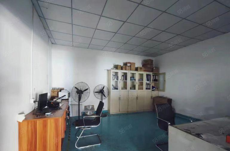 实际面积出租（公明蒋石钢构1000平高7度米，可分400平）