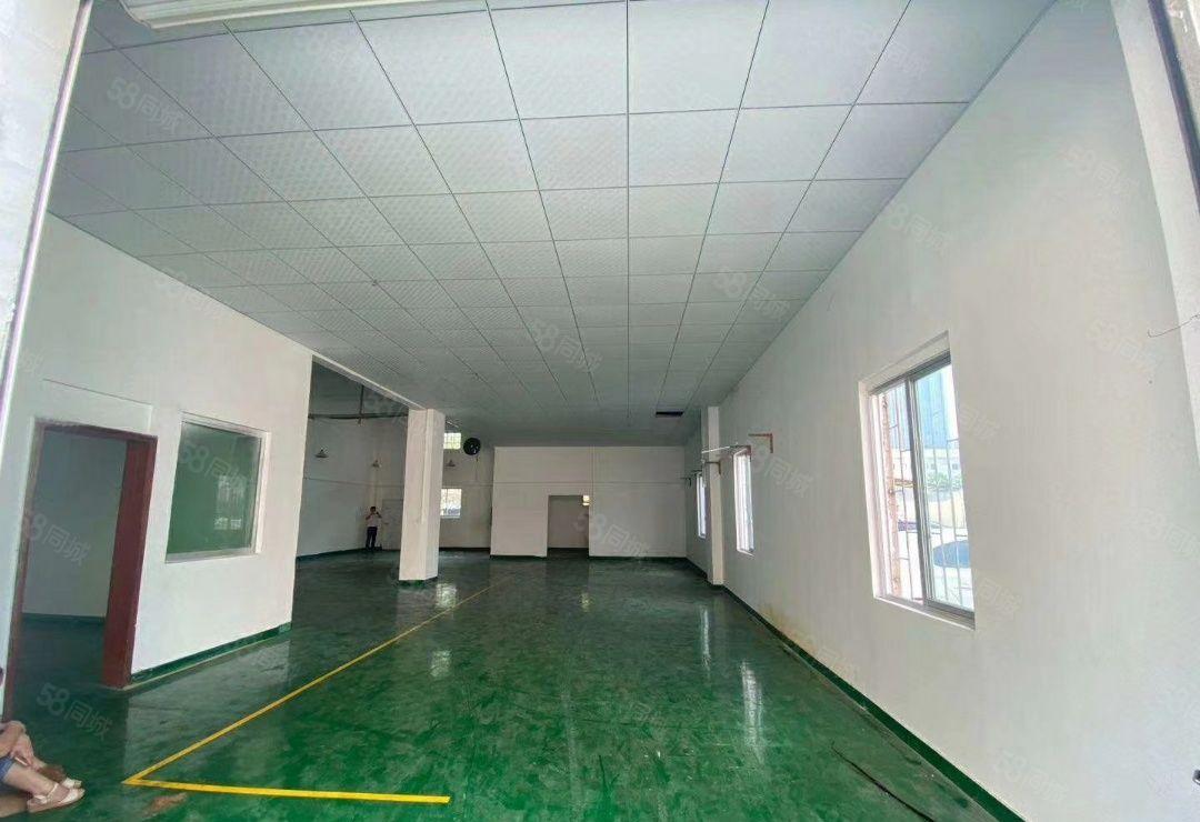 公明玉律一楼450平方出租，带办公室，高度5.5米