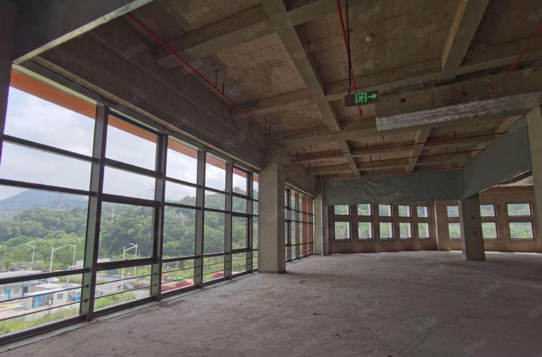 龙岗地铁口厂房出租 大露台大空地 全新独栋 生物医药特色园区