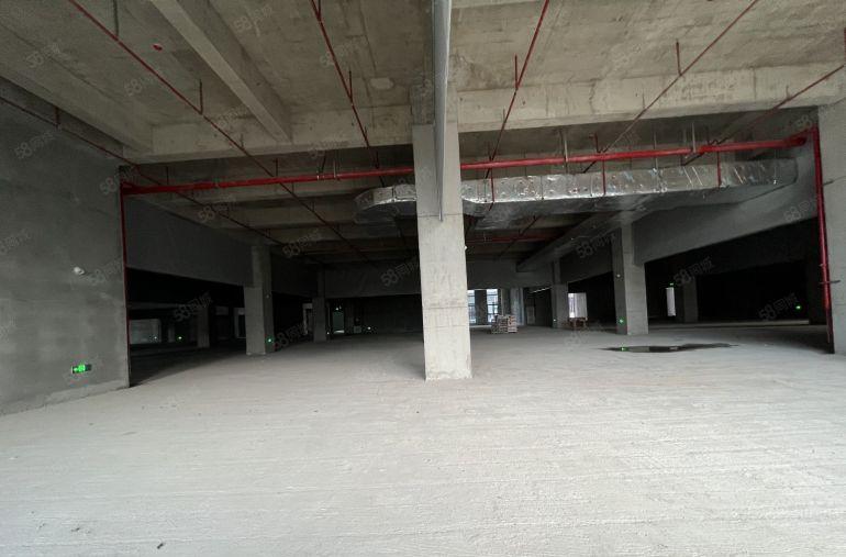 光明全新高新产业园厂房一楼滴水7米980平分租补贴40元