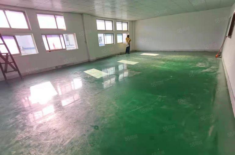 公明李松朗厂房（240平实际面积出租，精装修，欢迎老板详询）