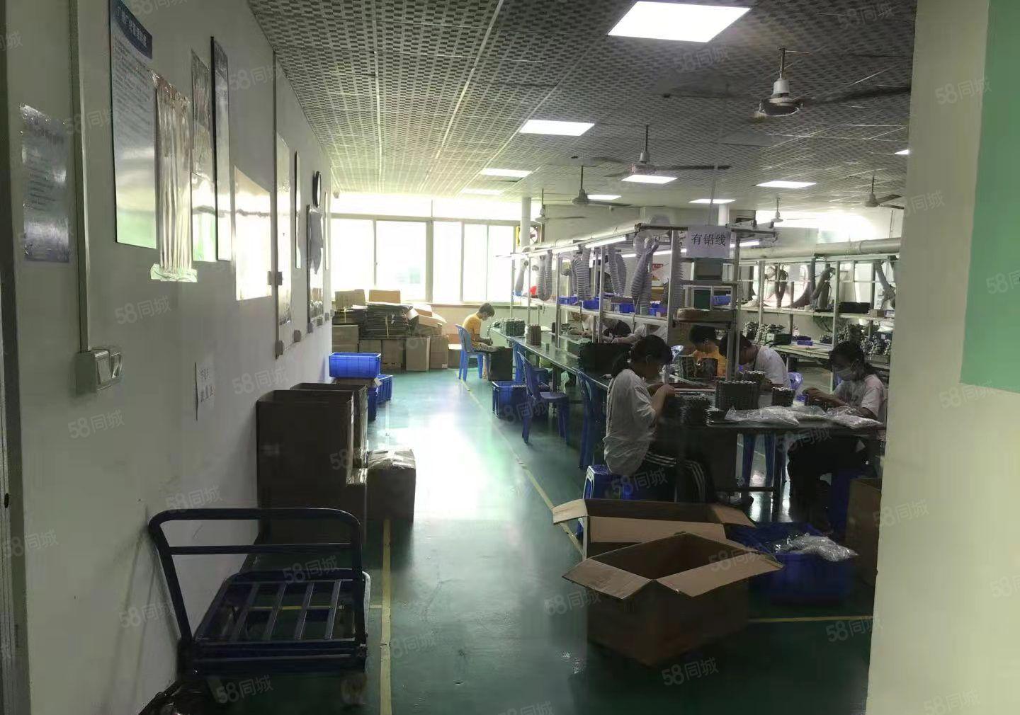 光明地铁站工业园区精装修1000平厂房出租高新补贴电商仓库