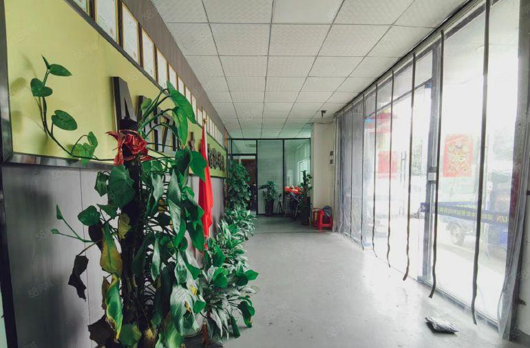 公明李松朗钢构出租1350平带精装办公室，中间无柱使用率高