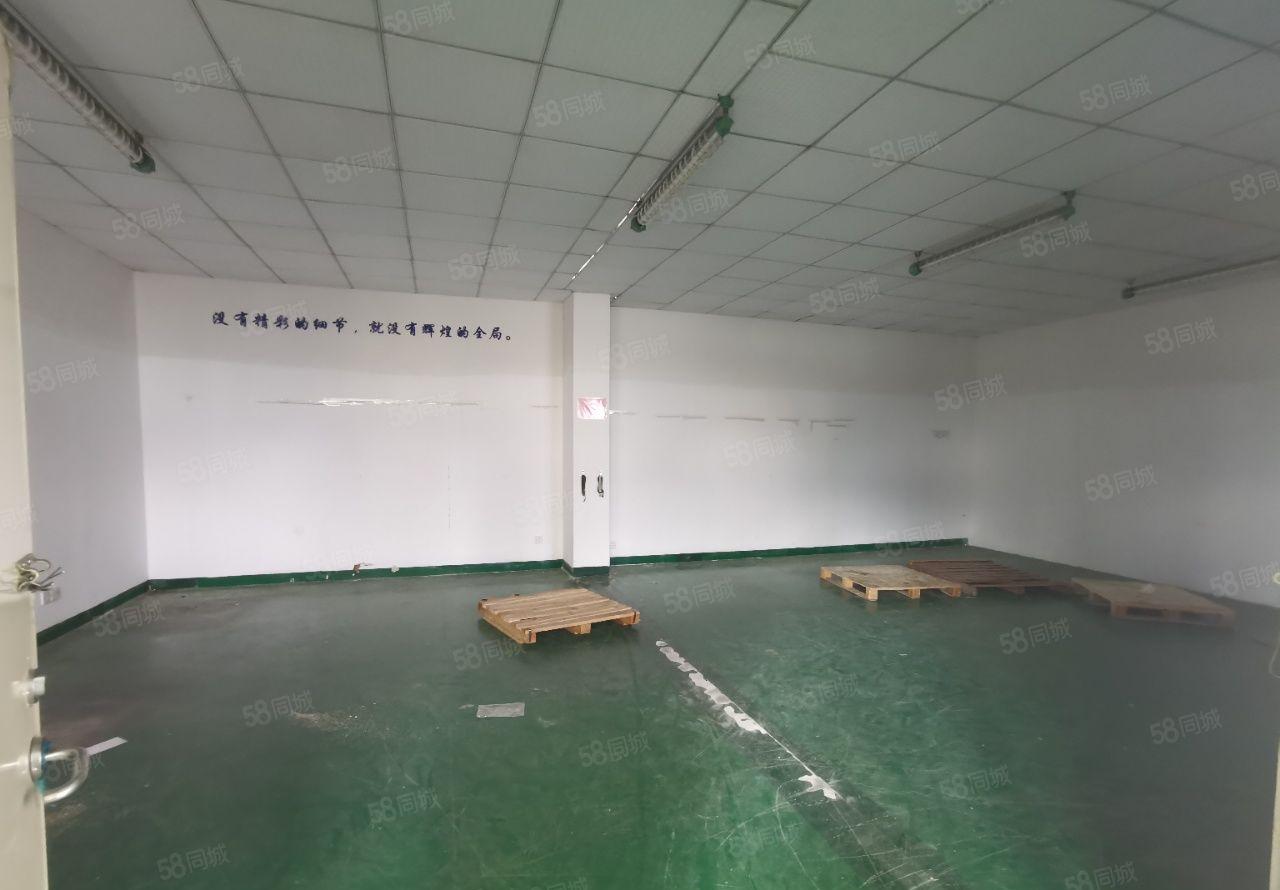 （实际面积出租）马山头楼上1000平，带牛角，现成吊机口