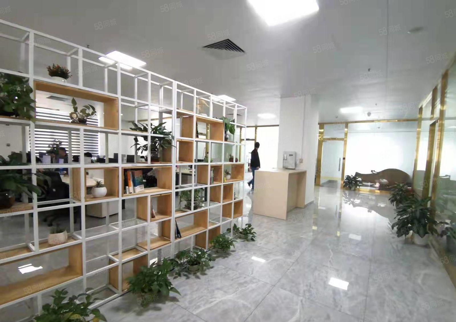 光明公明豪华装修厂房出租，4800平，单层2400原显示屏厂