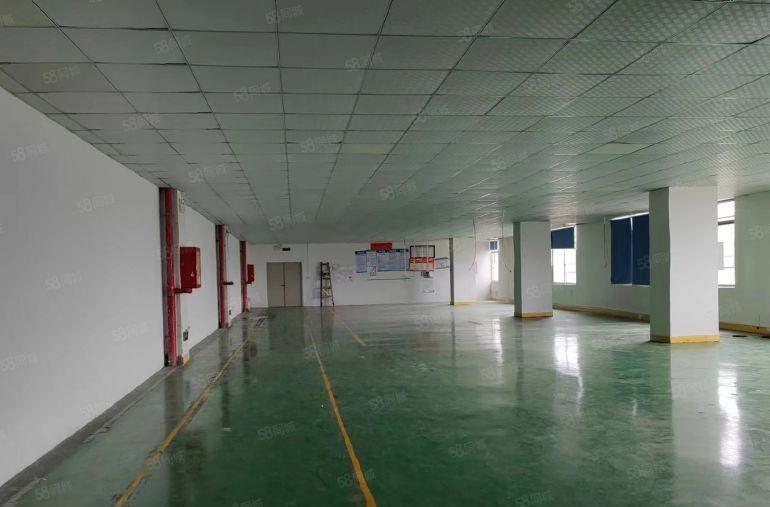 公明唯一靓盘，原房东厂房700平，车间干净明亮，吊好顶