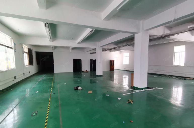 光明地铁口2000平独门独院精装物流仓库生产电商办公出租分租