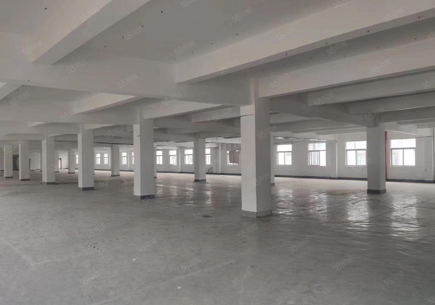 光明区公明独院厂房出租，面积8000平方，空地大，一楼6米高