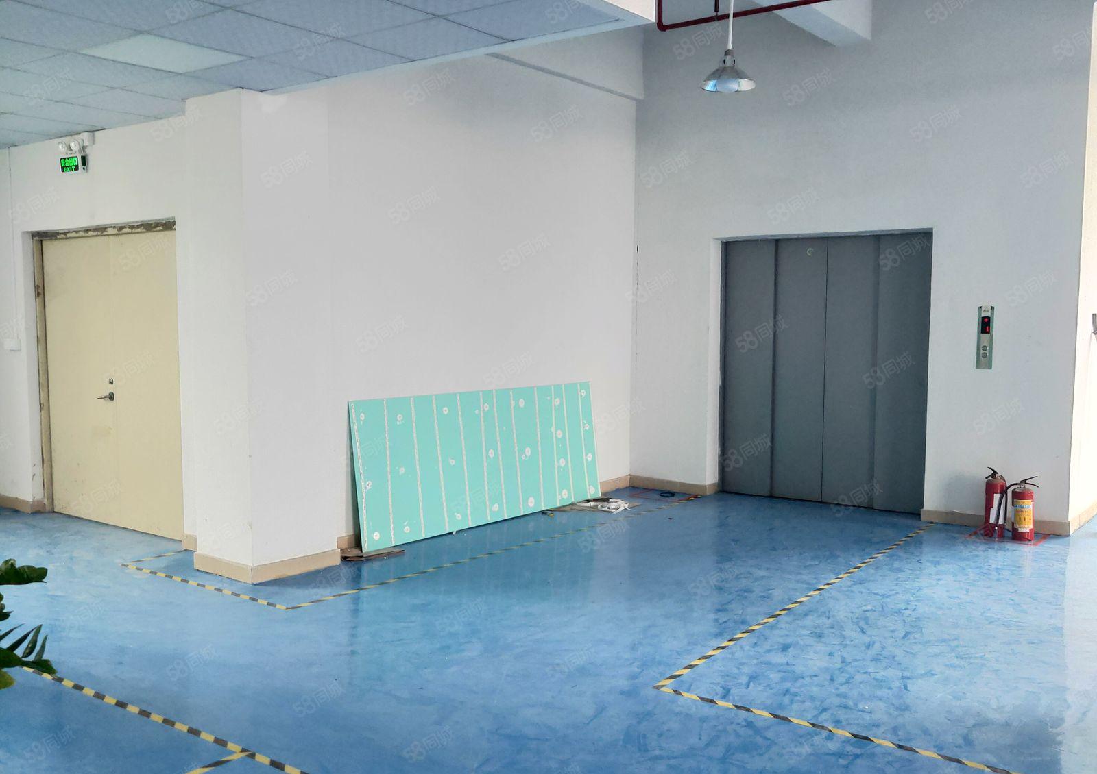 光明大型园区2楼3楼各3000平，共6000平，可分层出租