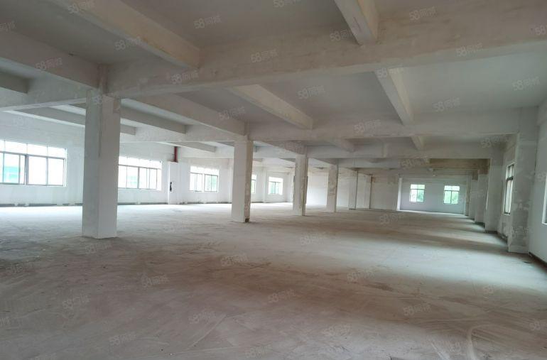 光明楼村工业区原房东红本独院厂房6800平出租可办环评易招工