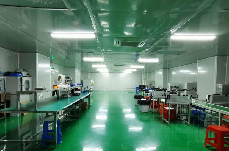 光明白花洞1000平方厂房出租转租现成精装修无尘车间可分租