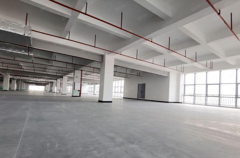 光明工业园区500平方至10000平方精装修办公物流厂房出租