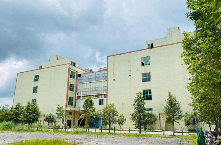 实际面积光明独院厂房出租1000平大小可分租空地大