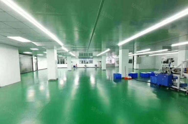 公明田寮松白路时光工业园2380平带无尘车间厂房出租无转让费