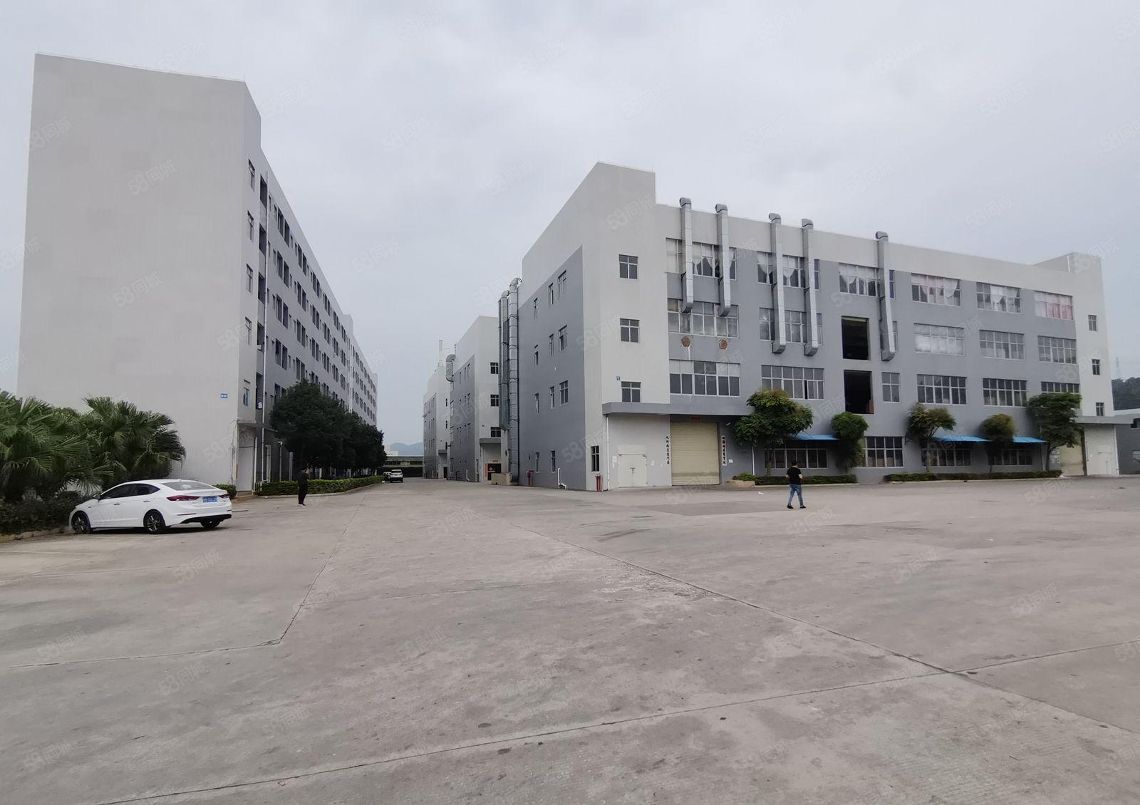 光明研发办公仓库厂房出租2000平，可分租能办环评可申请补贴