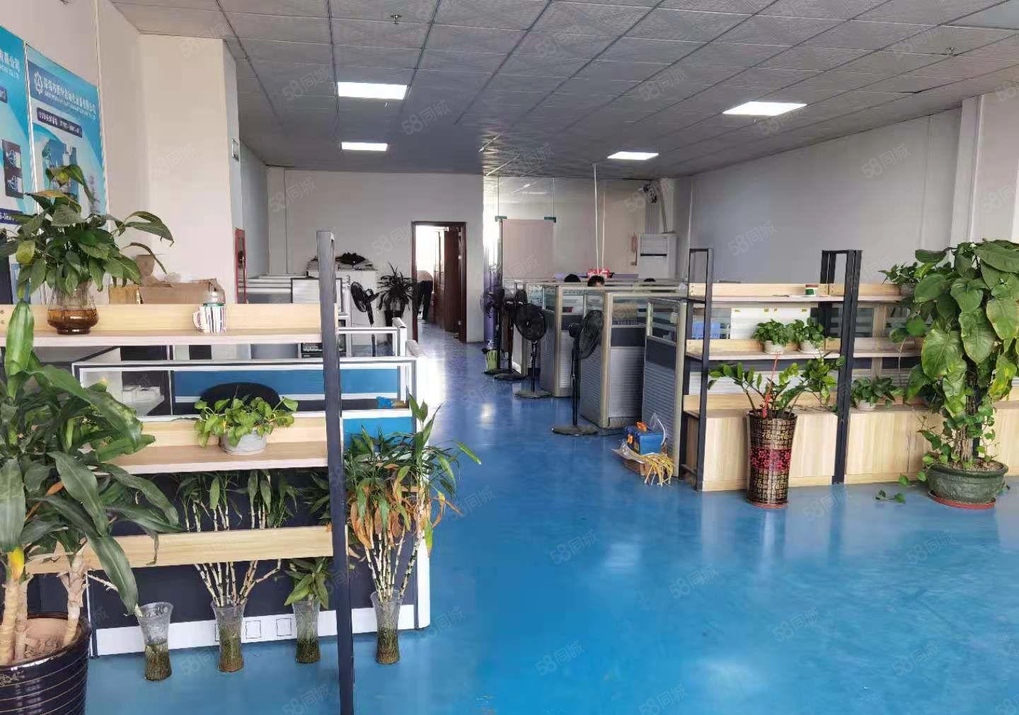 公明楼村厂房出租（2400平一整层，面积实在，可实量）