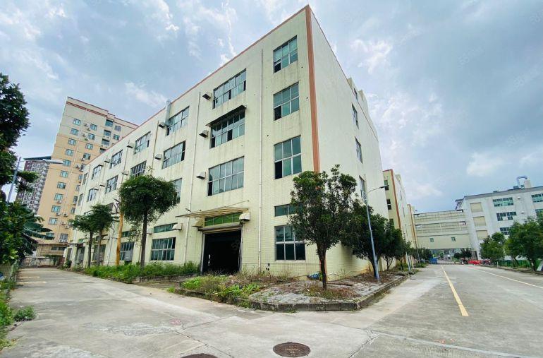 实际面积光明独院厂房出租1000平大小可分租空地大