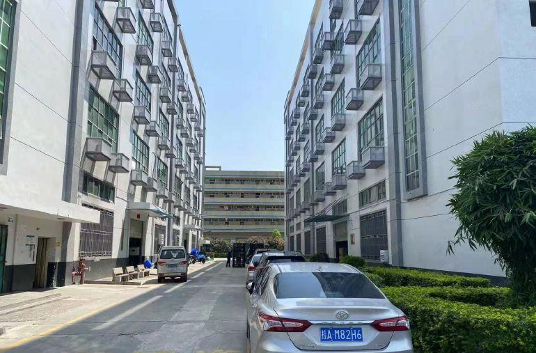 公明马山头新出3楼700平方精装修厂房招租