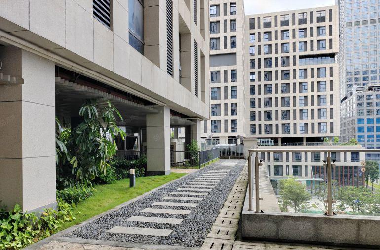 光明公明免租6个月的高新产业园