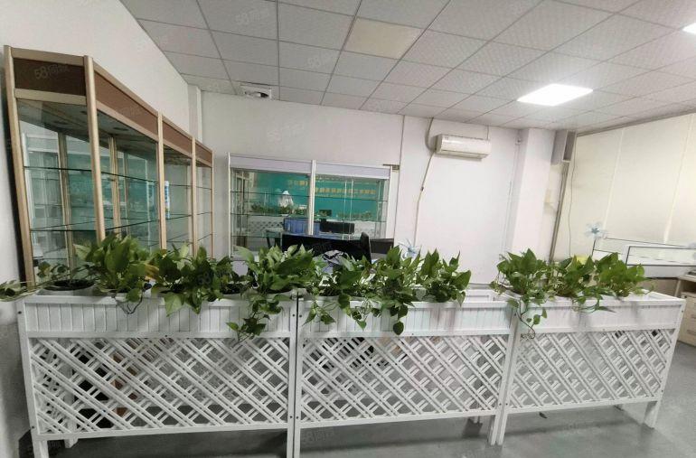 光明李松蓢18元起楼上500平精装修厂房出租仓库出租可分租