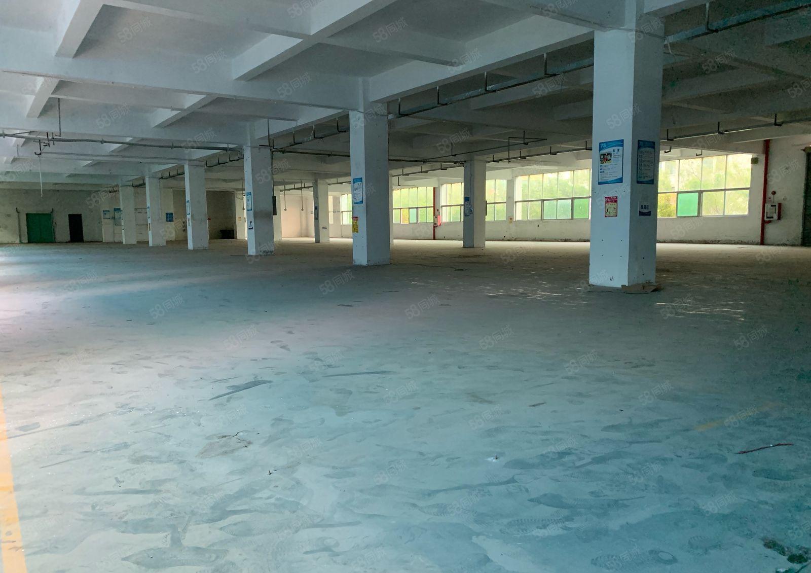 公明上村新出原房东厂房12层5000平方可分