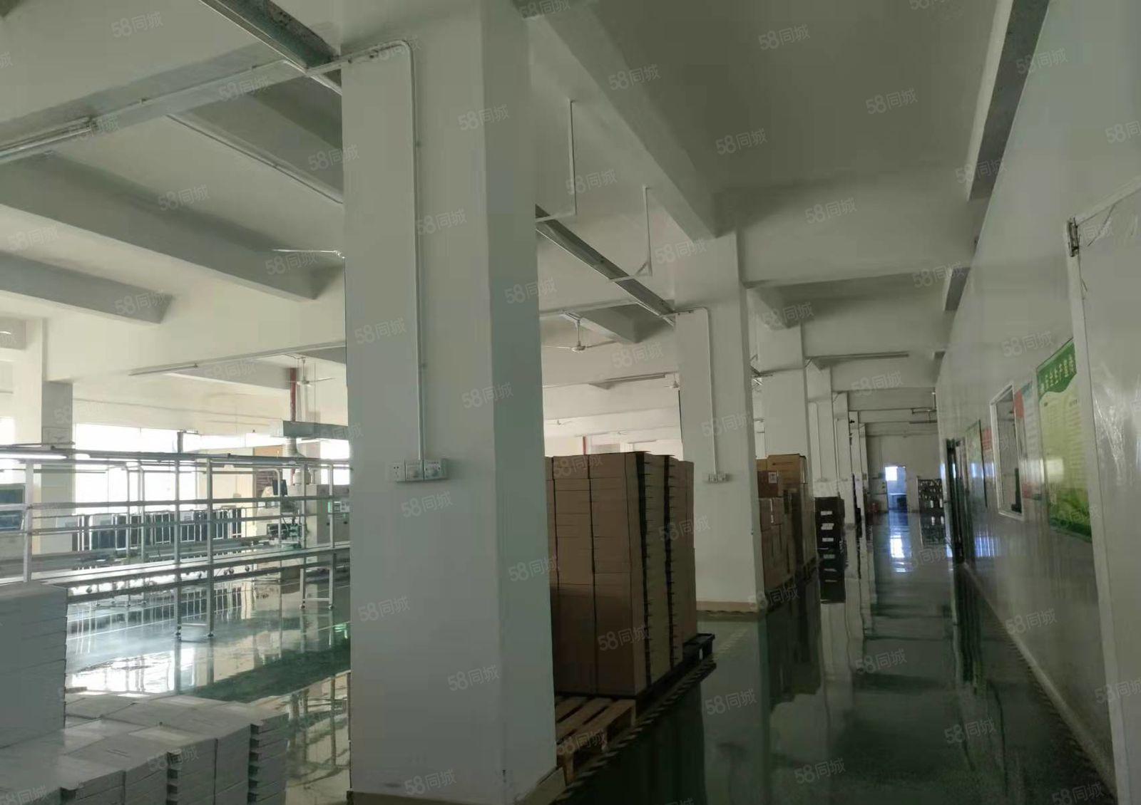 深圳市光明公明白花洞楼上1735平工业厂房出租。