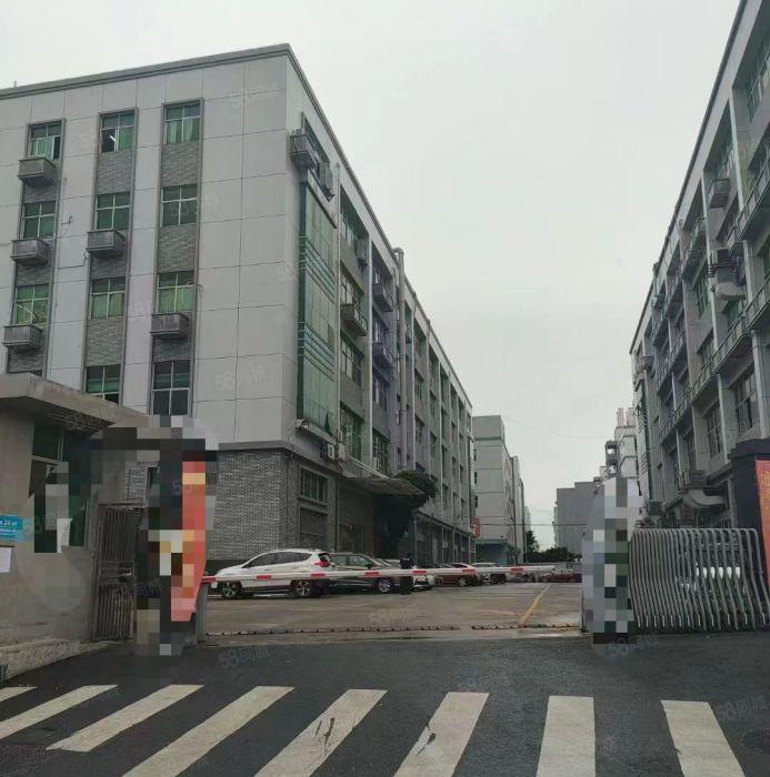 光明公明楼村，大型园区厂房，仓库出租（3100平一整层）