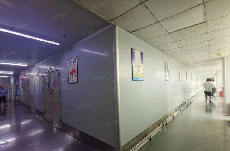 光明新区光明甲子塘高薪园区独门独院厂房4万平大小可分租