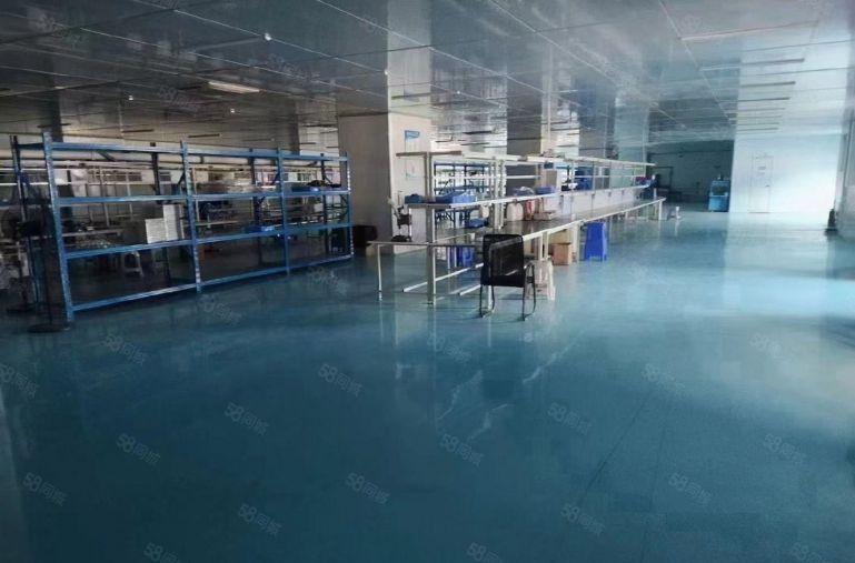 光明高新科技园厂房仓库出租500平到6000平可分租可申补贴