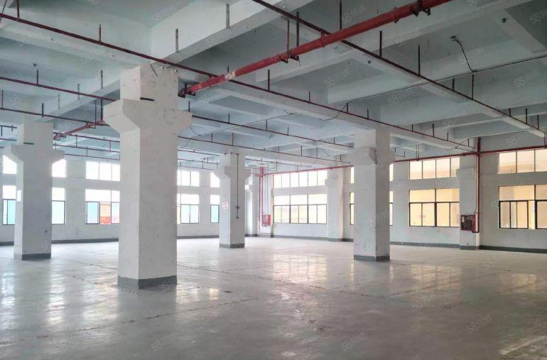 公明上村标准一楼厂房3600平可分1000平适合五金，SMT