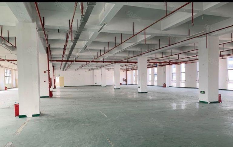 光明公明全新厂房，仓库出租500，1000，3000平好分租