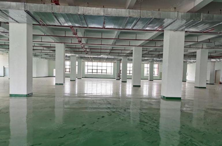 光明公明田寮原房东厂房出租5000平可分租1000平500平