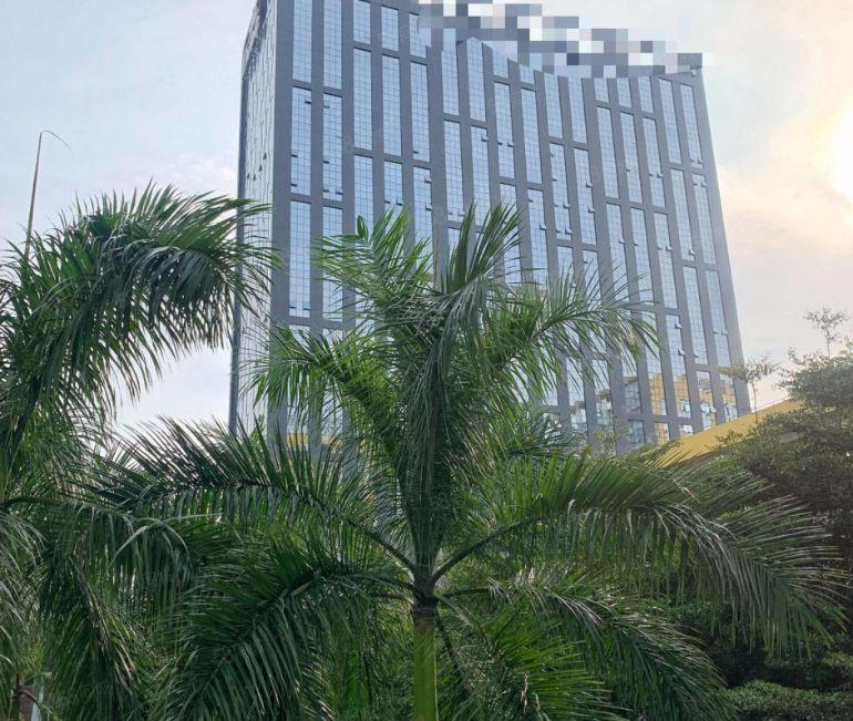 （免租期6个月起）公明东坑原房东甲级写字楼出租98~520平