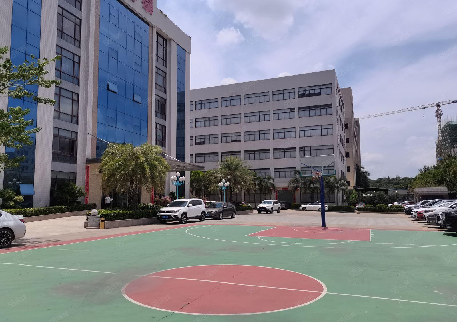 （出租）光明2000平精装修厂房出租超大空地200平起分租