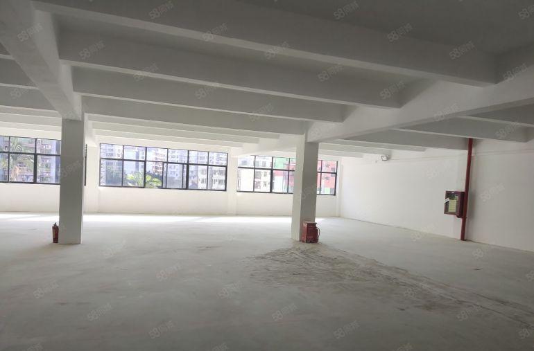 光明地铁口原房东红本厂房5000平方出租大小可分租高速口附近