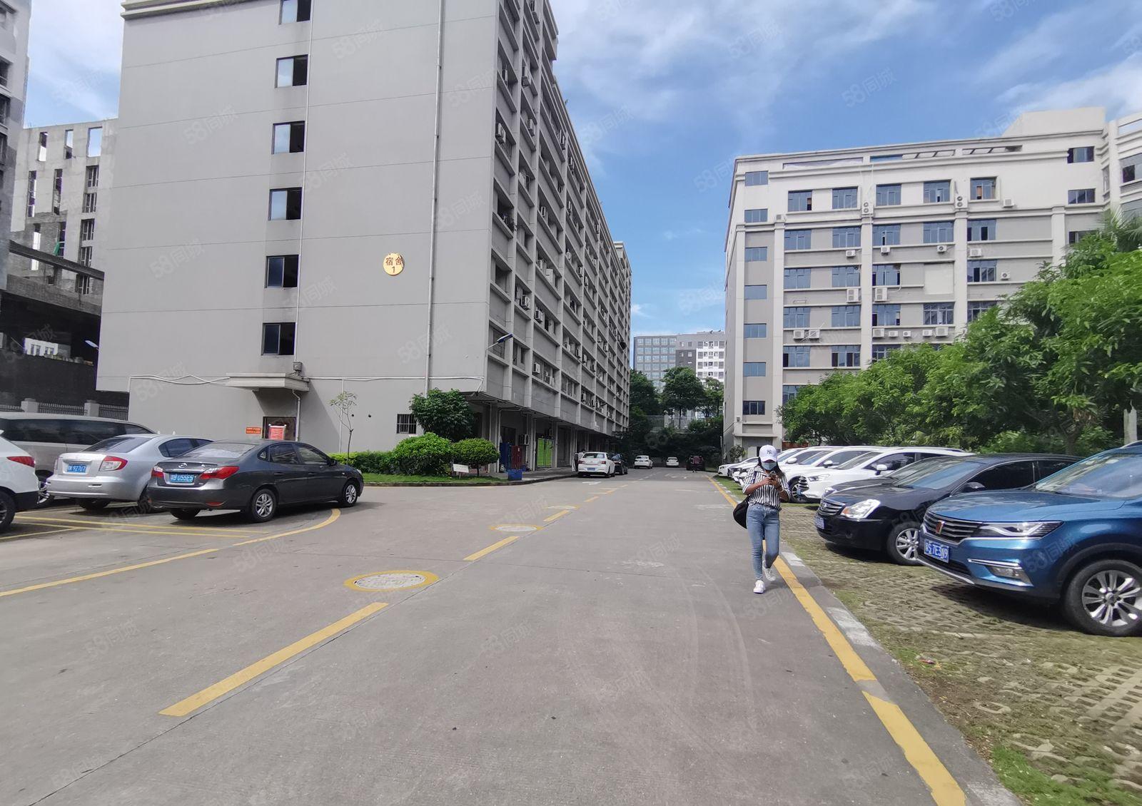 光明高新区300至12000平方红本精装修厂房仓库出租可补贴