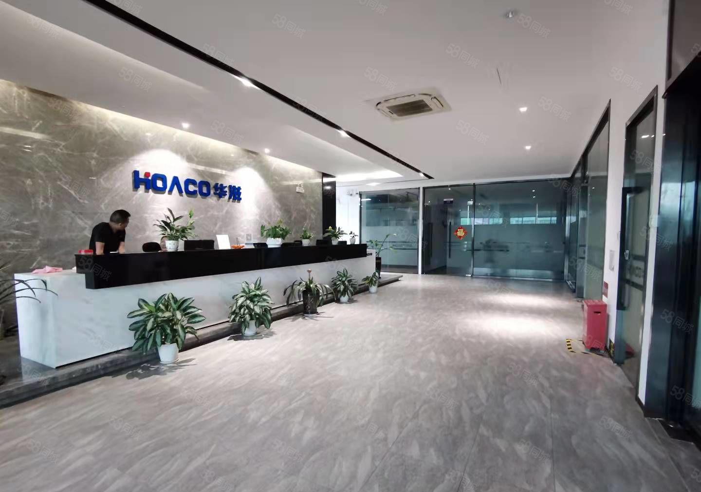 光明白花洞新出原房东红本一楼和二楼总共4000平方，豪华装修